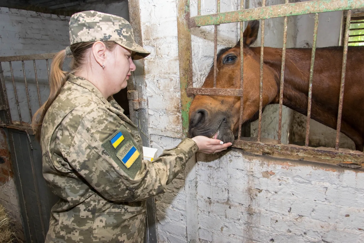 Психоемоційне відновлення військових: у Сумах правоохоронці пройшли курс іповенції